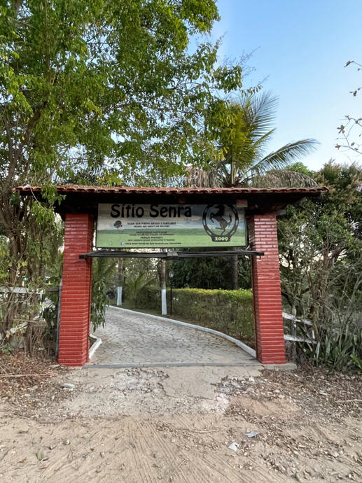 Entrada